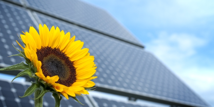 El seguidor solar es uno de los muchos sistemas fotovoltaicos que pueden ser aprovechados para el autoconsumo